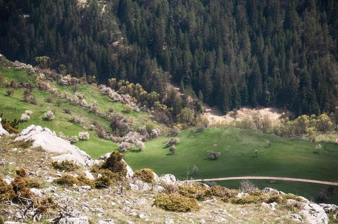 Вила Здравец Yagodina Ngoại thất bức ảnh